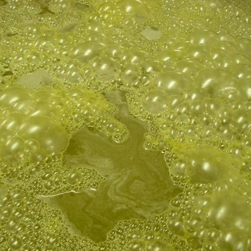 110_SzoleszBorasz-23